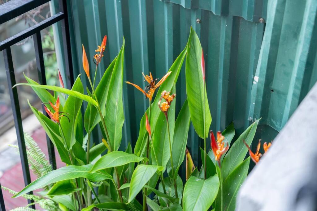 Entireplace*2Br/Bathtub/Supercenter*New* Hanoi Bagian luar foto